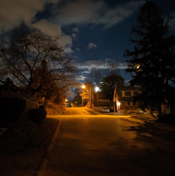 Meet your Posher, Ewan - Picture 1 of 1